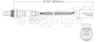 Oxygen Sensor