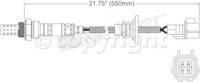 Oxygen Sensor