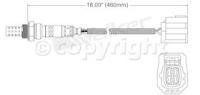 Oxygen Sensor, Front