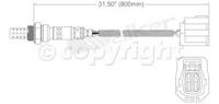 Oxygen Sensor