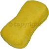 Sponge