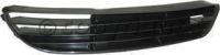 Bumper Grille