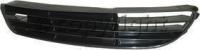 Bumper Grille