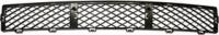 Bumper Grille, Front