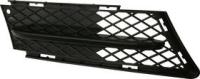 Bumper Grille, Front, Passenger Side