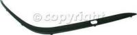 Bumper Trim, Passenger Side, Front