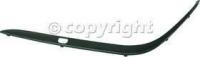 Bumper Trim, Driver Side, Front
