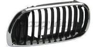 Grille, Driver Side