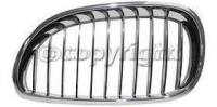 Grille Assembly, Driver Side