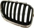 Grille, Driver Side