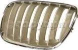 Grille, Passenger Side