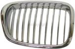 Grille, Passenger Side