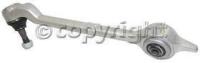 Control Arm, Rear, Passenger Side