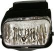 Fog Light, Passenger Side