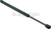 Lift Support, Driver Or Passenger Side