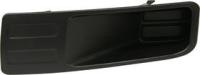 Fog Light Cover, Driver Side