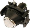 Fog Light, Driver Or Passenger Side