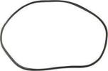 Windshield Weatherstrip