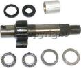 Steering Shaft