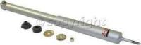 Shock Absorber and Strut Assembly, Rear