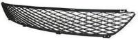 Bumper Grille, Front