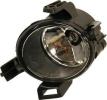 Fog Light, Driver Side