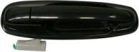 Door Handle Assembly, Rear, Driver Side