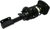 Shock Absorber and Strut Assembly, Rear, Passenger Side