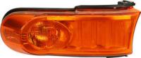 Turn Signal Light, Driver Side