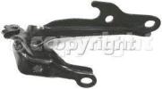 Hood Hinge, Driver Side
