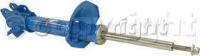 Shock Absorber and Strut Assembly, Rear