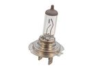 Headlight Bulb
