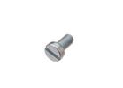 Engine Shroud Screw