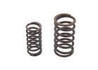 Valve Spring Set