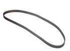 Timing Belt