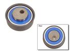 Balance Shaft Tensioner
