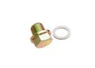 Oil Drain Plug