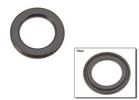 Oil Pan Gasket