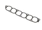 Intake Plenum Gasket