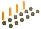 Valve Stem Seal Kit
