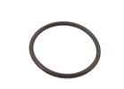 Fuel Sender Gasket