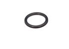 Fuel Tank Cap Seal