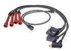 Ignition Wire Set
