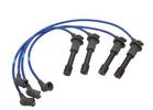 Ignition Wire Set