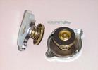 Radiator Cap