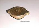 Cooling System Cap