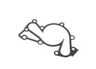 Water Pump Gasket