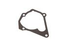Water Pump Gasket