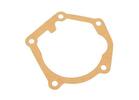 Water Pump Gasket