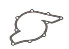 Water Pump Gasket